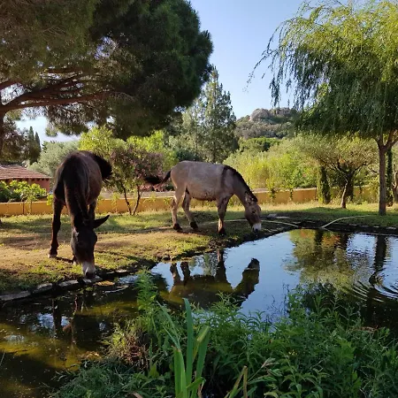 Çiftlik konaklama Le Pailler 2p Et 3 Enfants Sous Le Tipi