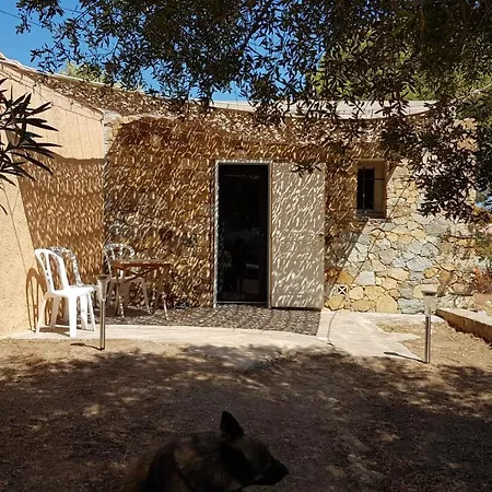 Çiftlik konaklama Le Pailler 2p Et 3 Enfants Sous Le Tipi Calvi (Corsica)