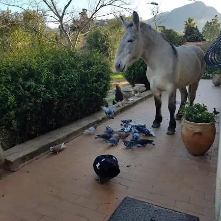 Le Pailler 2p Et 3 Enfants Sous Le Tipi