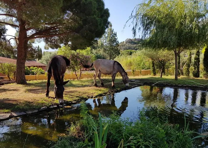 בית חווה Le Pailler 2p Et 3 Enfants Sous Le Tipi