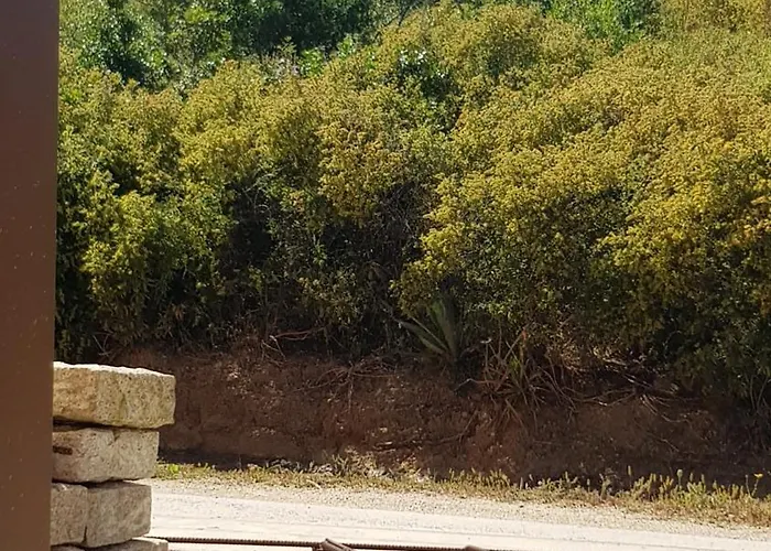 Le Pailler 2p Et 3 Enfants Sous Le Tipi Séjour à la ferme Calvi (Corsica)