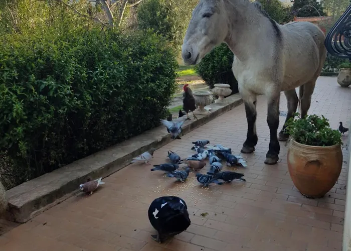 Le Pailler 2p Et 3 Enfants Sous Le Tipi